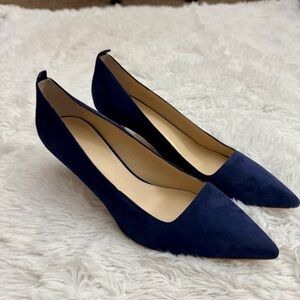 EUC Everlane Suede Pointed Toe Kitten Heels!